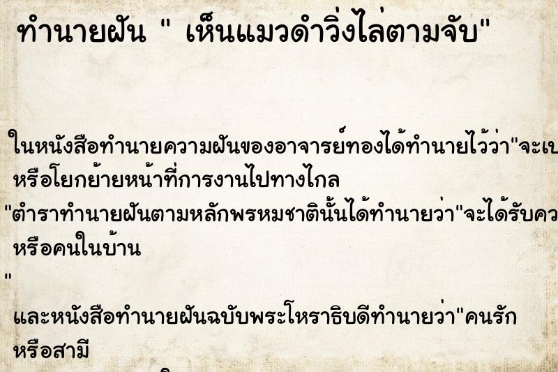 ทำนายฝันทำนายฝันเห็นแมวดำวิ่งไล่ตามจับ